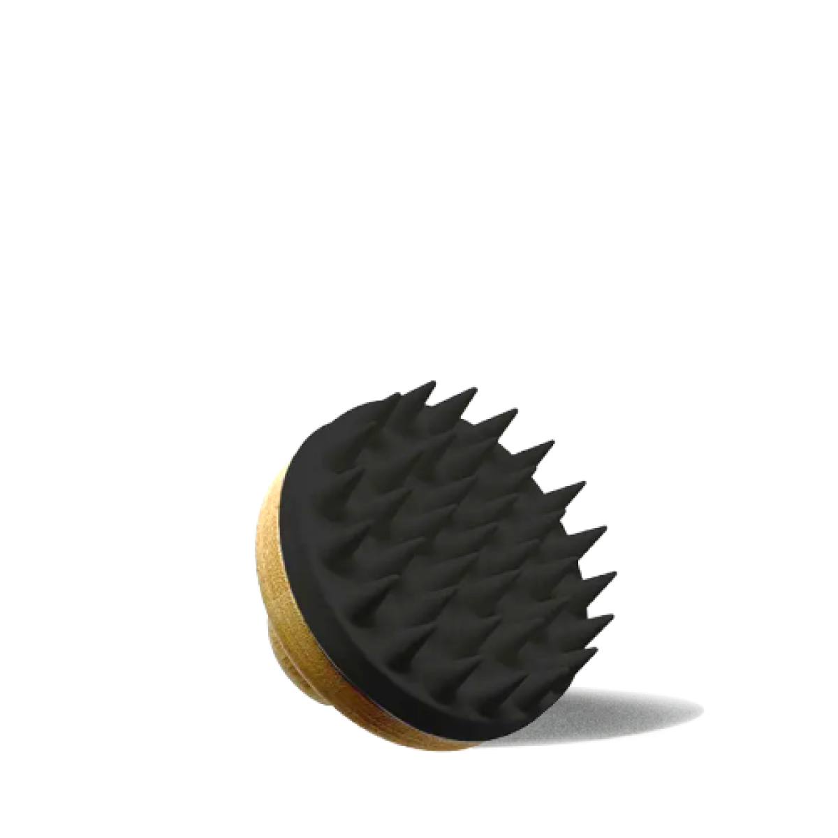main.png